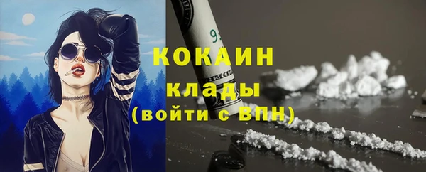 МДПВ Мегион
