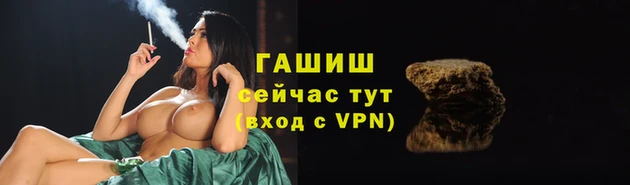 стаф Медвежьегорск