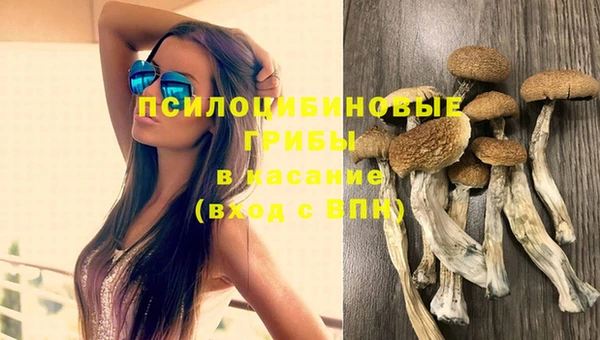 прущая мука Медногорск
