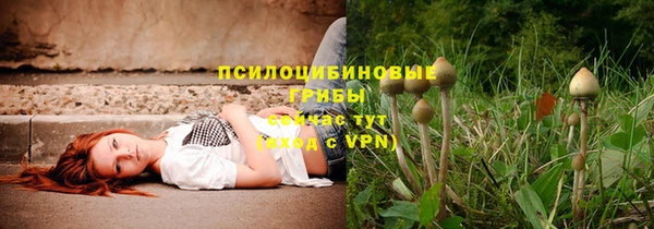 МДПВ Мегион