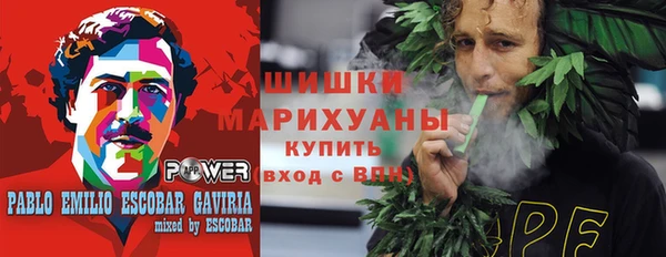 МДПВ Мегион