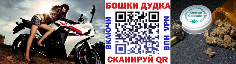 Каннабис гибрид Чудово